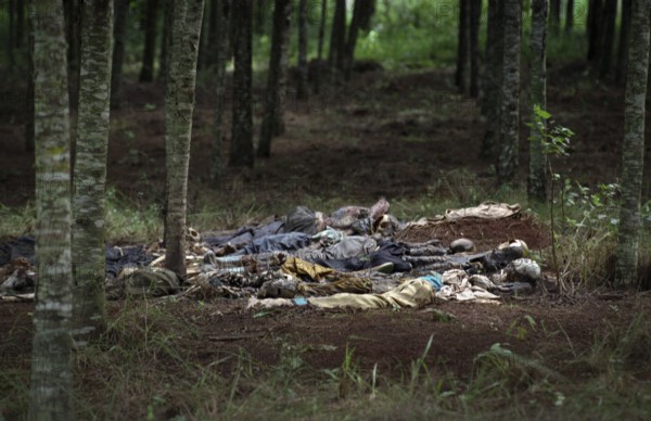 RWA Rwanda Nyamata Victims of the genocide lie in a wooded area not far from Nyamata south of the