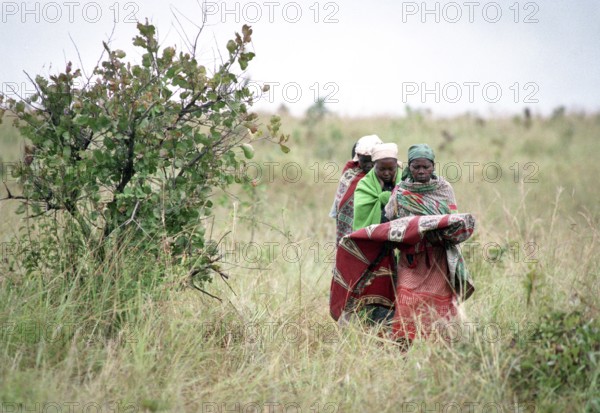 TZA Tanzania scene in the Benaco Camp refugee camp, to which up to 500, 000 Rwandan Tutsis fled the