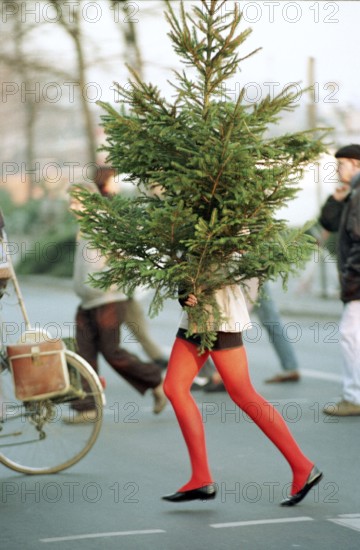 DEU, Frankfurt/Main, 12.12.1994 -- Christmas tree purchase in Frankfurt. -- A colorful long leg