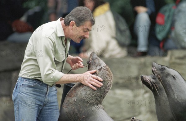 DEU, Frankfurt, 14.09.1994 -- Feeding seals in Frankfurt Zoo. (animal park, zookeeper) -- Â©