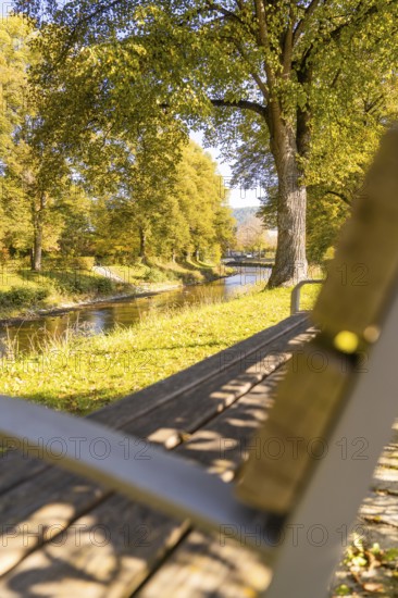 Wooden bench overlooking a river in an autumn park, sunbeams through the trees, Nagold, Black