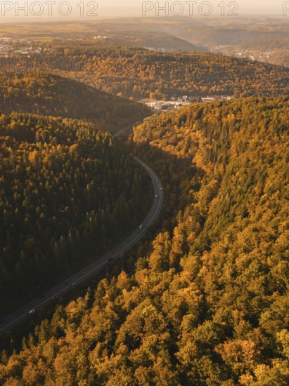 A deep gorge with thick tree vegetation in autumn and a road that snakes through it, Nagold, Black