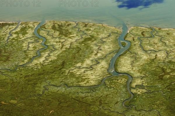 Ostheller, salt marshes with Prilen, Wadden Sea, aerial view, Norderney, North Sea, North Sea