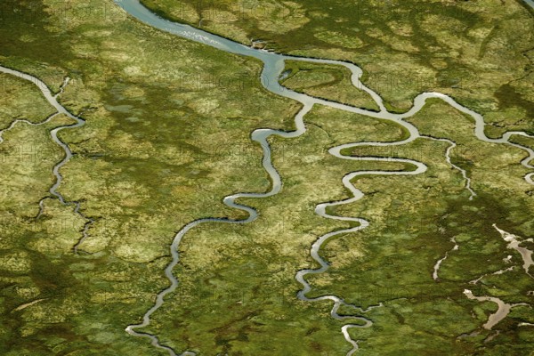 Ostheller, salt marshes with Prilen, aerial view, Norderney, North Sea, North Sea island, East