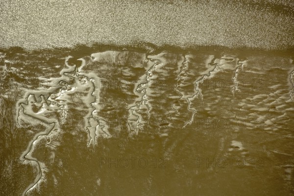 Elbe, tidal flats at low tide on an island in the Elbe near Wedel and Jork, Wedel, Lower Saxony,