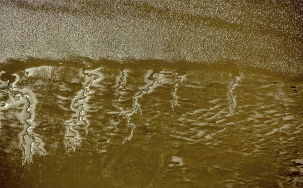 Elbe, tidal flats at low tide on an island in the Elbe near Wedel and Jork, Wedel, Lower Saxony,