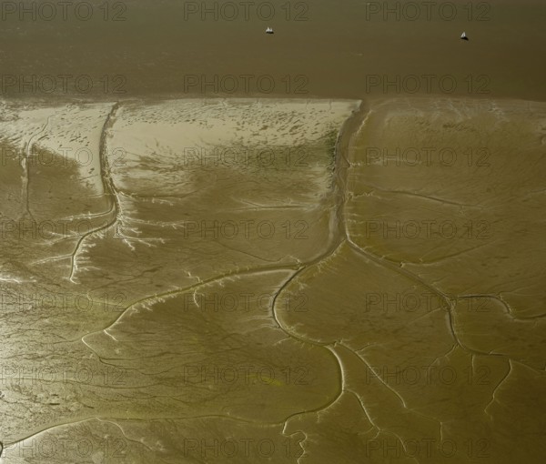 Elbe, tidal flats at low tide on an island in the Elbe near Wedel and Jork, Wedel, Lower Saxony,