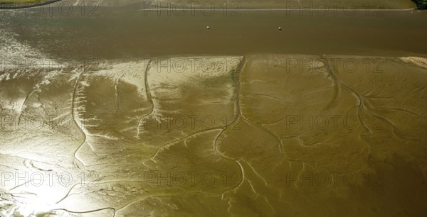 Elbe, tidal flats at low tide on an island in the Elbe near Wedel and Jork, Wedel, Lower Saxony,