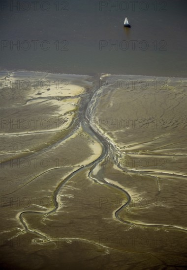 Elbe, tidal flats at low tide on an island in the Elbe near Wedel and Jork, Wedel, Lower Saxony,