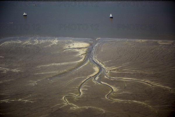 Elbe, tidal flats at low tide on an island in the Elbe near Wedel and Jork, Wedel, Lower Saxony,