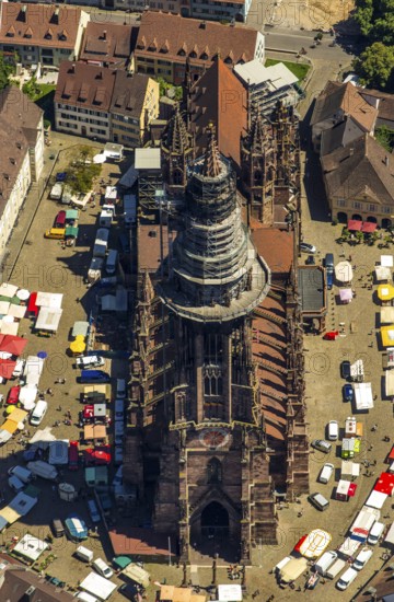 Freiburg Minster with market square, Freiburg im Breisgau, Breisgau, Baden-Württemberg, Germany,