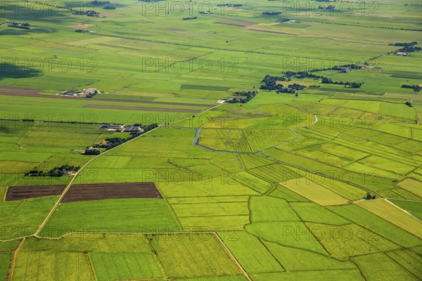 Fields in the polder land, drainage ditches in the marshes, green landscape, Bunde unified