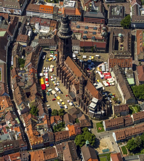 Freiburg Minster with market square, Freiburg im Breisgau, Breisgau, Baden-Württemberg, Germany,