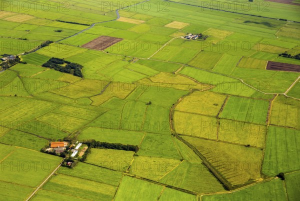 Fields in the polder land, drainage ditches in the marshes, green landscape, Bunde unified