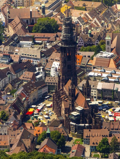 Freiburg Minster with market square, Freiburg im Breisgau, Breisgau, Baden-Württemberg, Germany,
