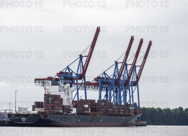 Container ship, loading cranes and stacks of containers, Port of Hamburg, container terminal,