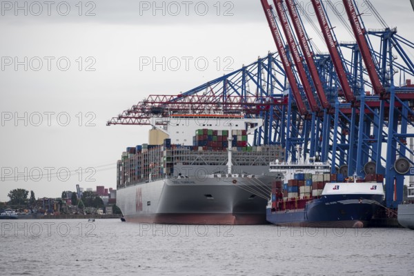Container ships, loading cranes and stacks of containers, Port of Hamburg, container terminal,