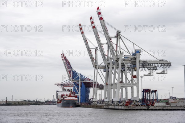 Container ship, loading cranes and stacks of containers, Port of Hamburg, container terminal,