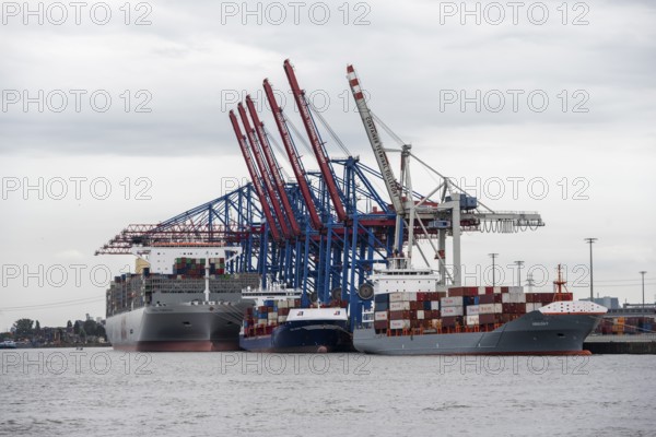 Container ships, loading cranes and stacks of containers, Port of Hamburg, container terminal,