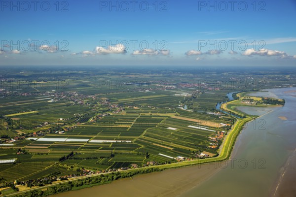 Finkenwerder, Altes Land, orchards, Hamburg, Free and Hanseatic City of Hamburg, Germany, Europe,