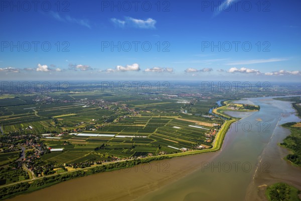 Finkenwerder, Altes Land, orchards, Hamburg, Free and Hanseatic City of Hamburg, Germany, Europe,