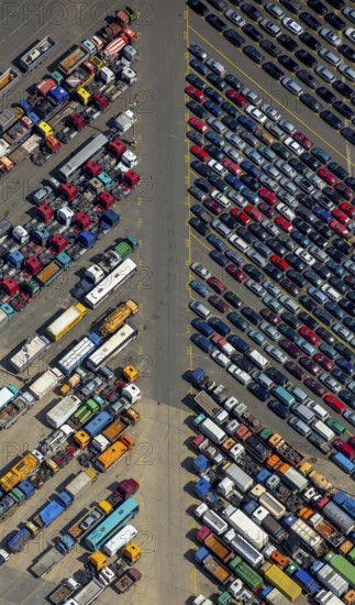 Used car loading at Hansahafen, Unikai in Hamburg harbour, Hamburg harbour, Elbe, Hamburg, Free and