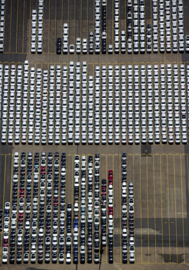 New car loading at Hansahafen, Unikai in Hamburg harbour, Hamburg harbour, Elbe, Hamburg, Free and