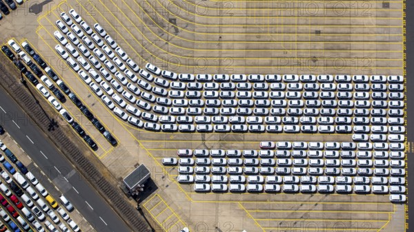 New car loading at Hansahafen, Unikai in Hamburg harbour, Hamburg harbour, Elbe, Hamburg, Free and