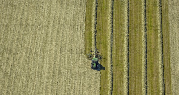 Aerial view, agricultural area, tractor mowing meadow, Gennebreck, Sprockhövel, Ruhr area, North