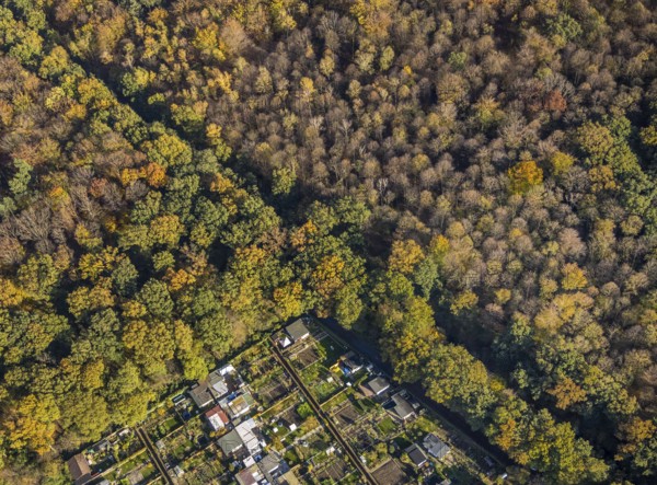 Aerial view, Gartenbauverein Bergmannslust e.V., Möllen, Voerde, Ruhr area, North Rhine-Westphalia,