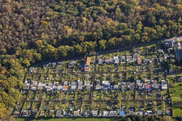 Aerial view, Gartenbauverein Bergmannslust e.V., Möllen, Voerde, Ruhr area, North Rhine-Westphalia,