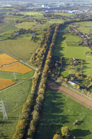Aerial view, wooded railway line along Frankfurter Straße, reactivation of the Walsum railway,