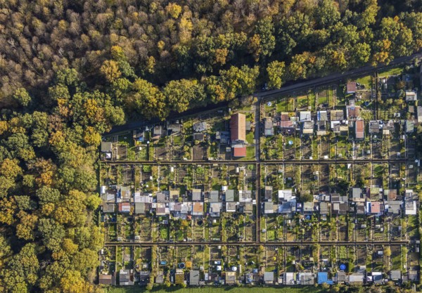Aerial view, Gartenbauverein Bergmannslust e.V., Möllen, Voerde, Ruhr area, North Rhine-Westphalia,