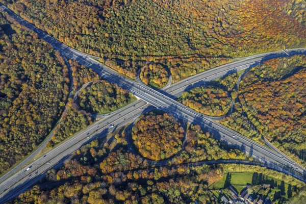 Aerial view, motorway junction Oberhausen, motorway A2, federal road B516, forest area in autumn