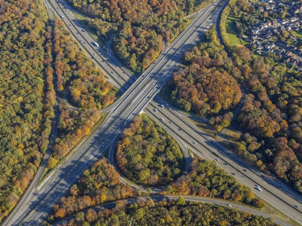 Aerial view, motorway junction Oberhausen, motorway A2, federal road B516, forest area in autumn