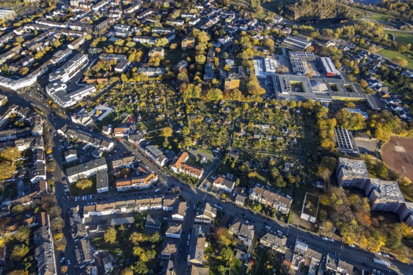 Aerial view, school centre, Städt. Gymnasium Broich, Städt. Realschule Broich, KGV Heisterbusch,