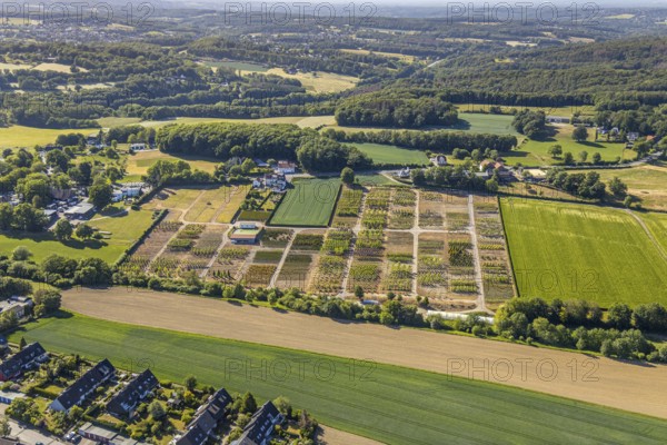 Aerial view, tree plots, tree nursery Wittener Straße 206, Ostholt, Hiddinghausen, Sprockhövel,