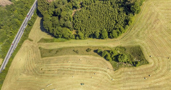 Aerial view, Agricultural area, Farm Auf der Niedergethe, Hiddinghauser Straße, Niedersprockhövel,
