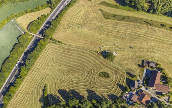 Aerial view, Agricultural area, Farm Auf der Niedergethe, Hiddinghauser Straße, Niedersprockhövel,