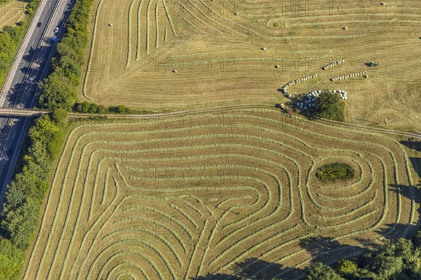 Aerial view, Agricultural area, Farm Auf der Niedergethe, Hiddinghauser Straße, Niedersprockhövel,