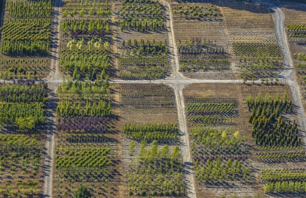 Aerial view, tree plots, tree nursery Wittener Straße 206, Ostholt, Hiddinghausen, Sprockhövel,