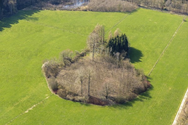 Aerial view, wooded area near Belecke-West industrial estate, Warstein, North Rhine-Westphalia,