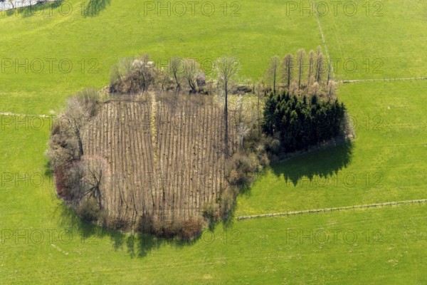Aerial view, wooded area near Belecke-West industrial estate, Warstein, North Rhine-Westphalia,
