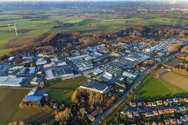 Aerial view, Westerhaar industrial estate, forest slash and burn, clear cutting and spruce felling,