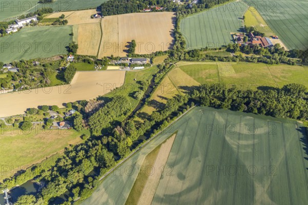 Aerial view, river Ruhr, Obergraben, Gut Beringhof horse boarding house, Wickede (Ruhr), North