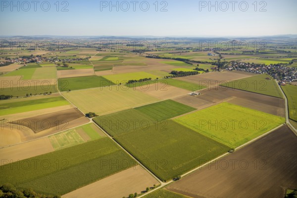 Aerial view, meadows and fields, Hohenwepel, Warburg, OWL, Ostwestfalen-Lippe, East Westphalia,