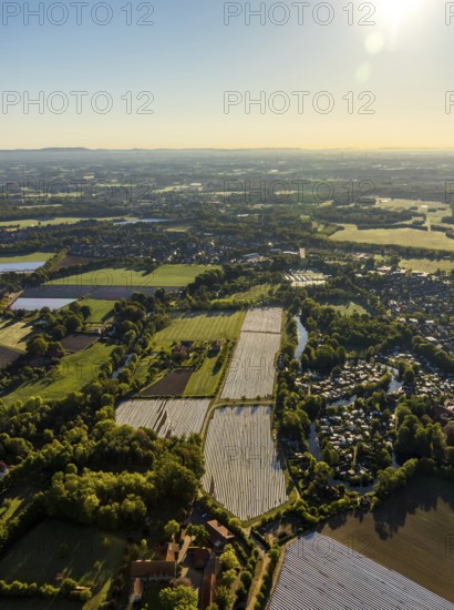 Aerial view, asparagus fields, asparagus cultivation, Südmühlenweg, Kamillusweg, Münster,
