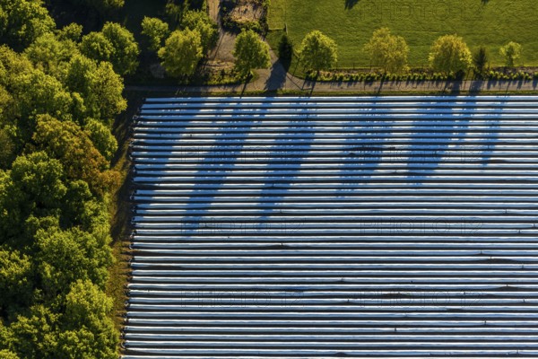 Aerial view, asparagus fields, asparagus cultivation, Südmühlenweg, Kamillusweg, Münster,