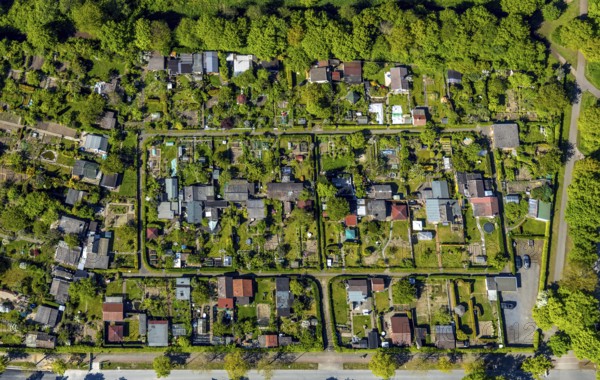 Aerial view, allotment garden site Gut Grün, WienburgPark, Münster, Münsterland, North