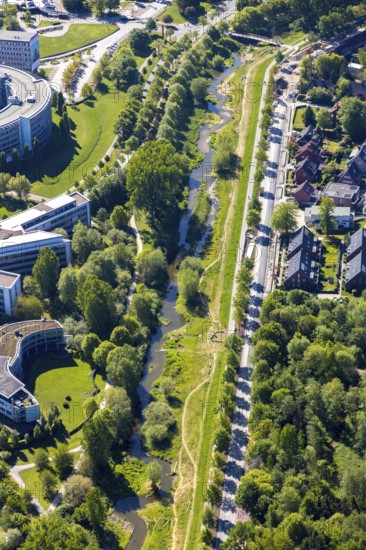 Aerial view, river Münstersche Aa, Kanalstraße, Am Wienburgpark, row of trees, Münster,